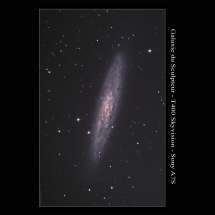 22 - NGC 253 - Galaxie du scupteur