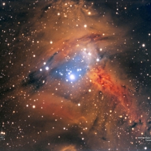 49 - NGC 2264 Region du cone GB