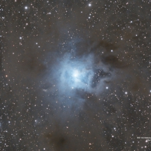 55 - NGC7023 Nébuleuse de l'Iris GM